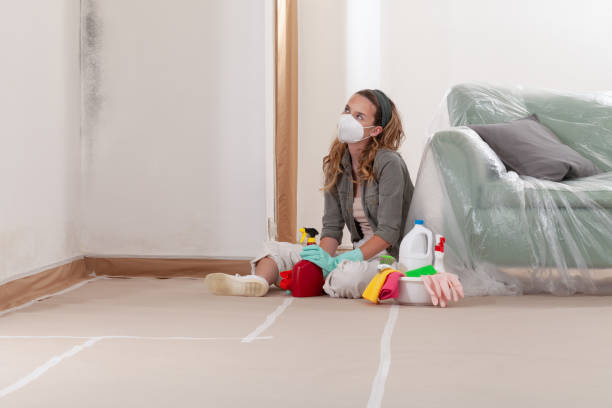 Reliable Mold Testing contractor in Upper Falls, MD by WQB Mold Removal